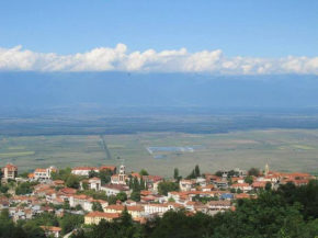 Family Hotel In Nukriani , 2km from Sighnaghi